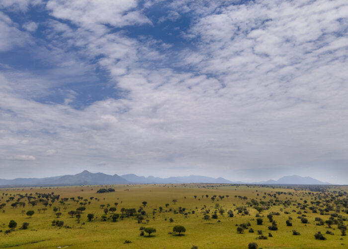 kidepo valley national park savannah plains