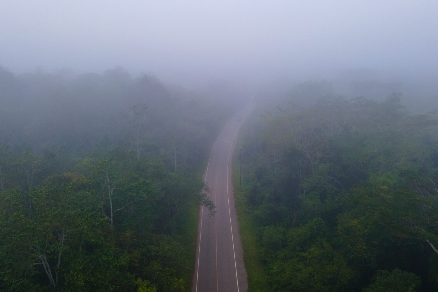 kibale forest national park